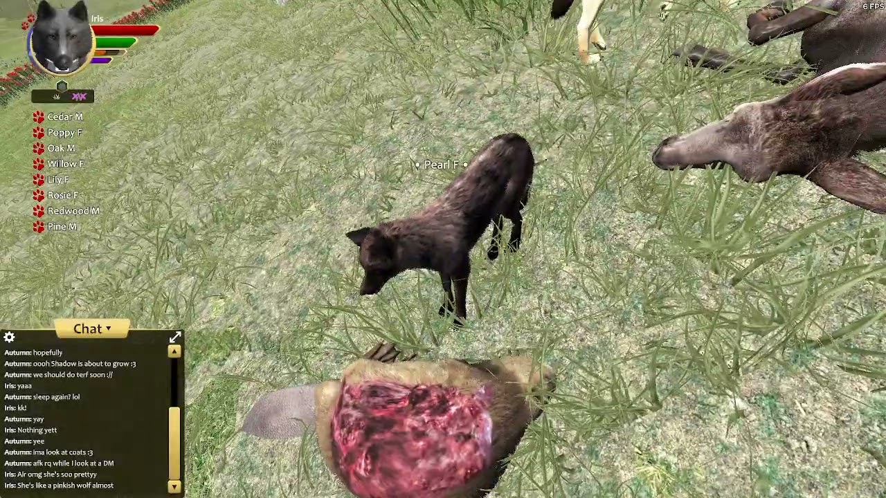 :3