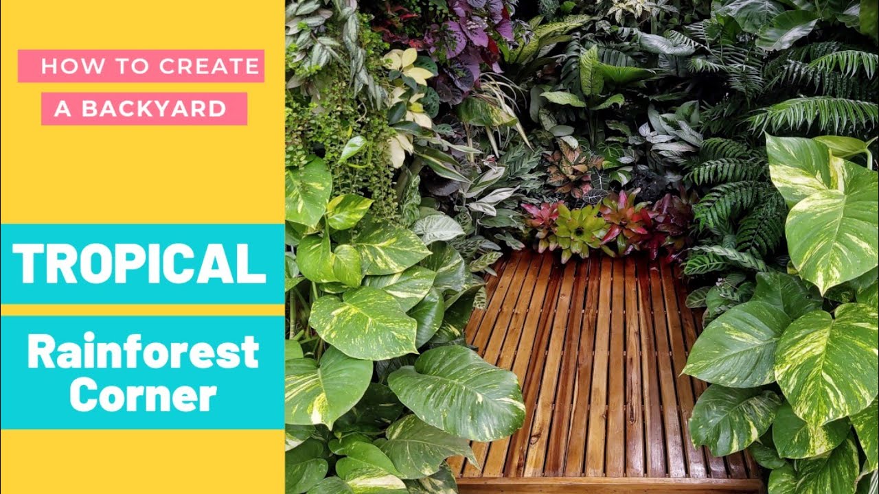 HOW I CREATED THIS DIY POCKET TROPICAL JUNGLE