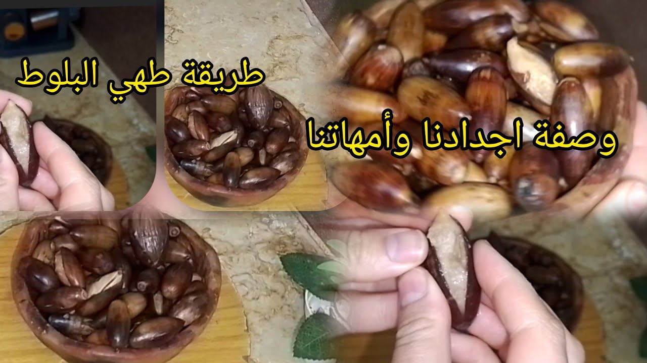 وصفة طبخ البلوط على طريقة اجدادنا وأمهاتنا 💯وصفات يناير🇩🇿💥