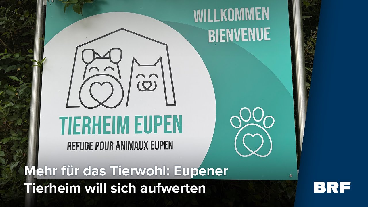 Eupener Tierheim will Tierpfleger ausbilden