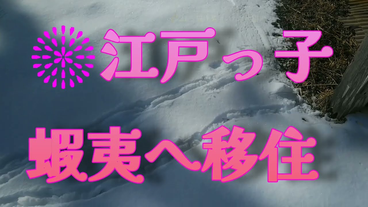🌾22　猫は見ていた＆除雪機ハンパない！【北海道移住・DIY】