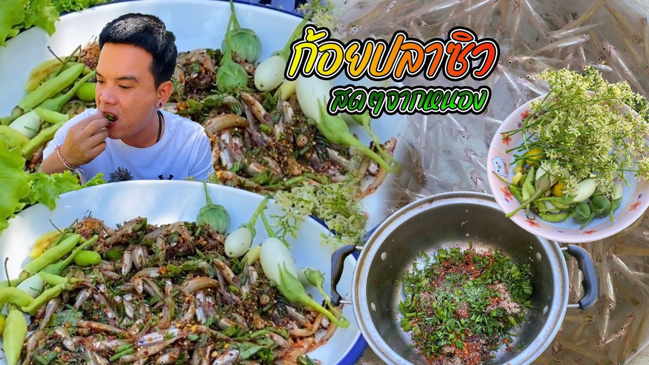 ก้อยปลาซิวสดๆจากหนอง