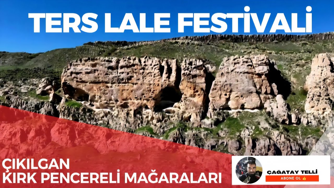 Ters Lale Festivali