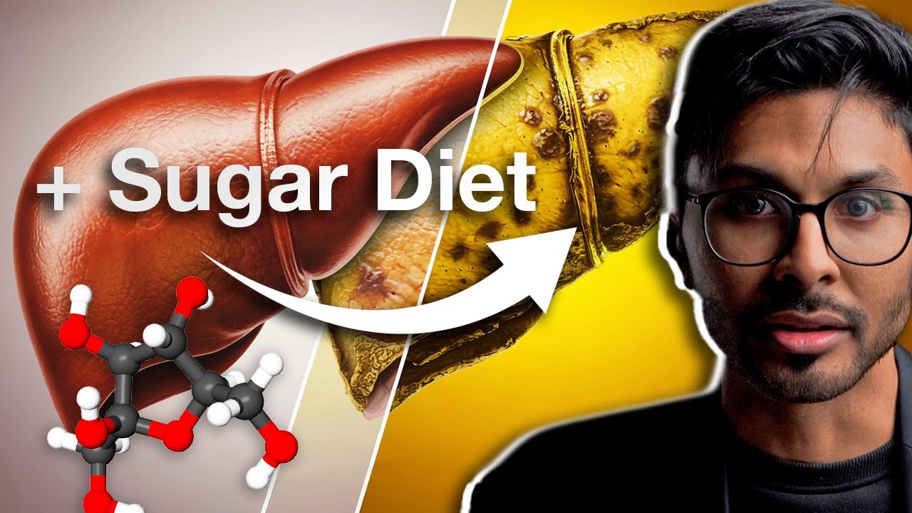 Sugar Diet Kills Your Cells (Biochem), What Mark Bell Hasn't Told You