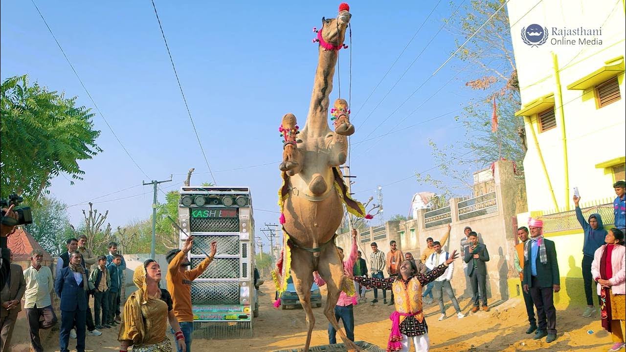 आपने यह करतब नहीं देखी तो कुछ नहीं देखा #rajasthanidance #rajasthanidj #viral #priyanshu #viralvideo