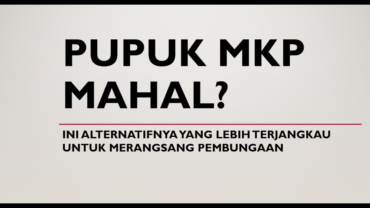Pupuk MKP Mahal? Ini Alternatif yang Lebih Terjangkau untuk Merangsang Pembungaan