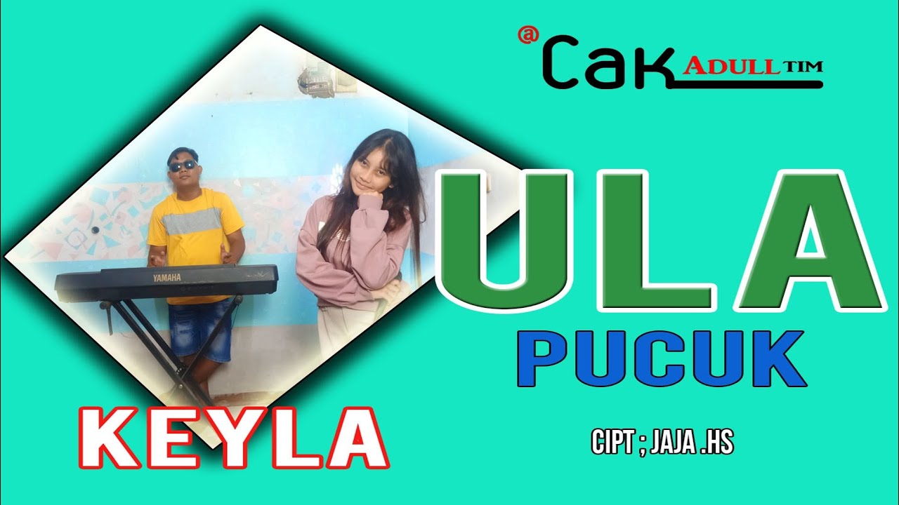 Lagu viral ula pucuk cover (Kayla) acakadull tim 