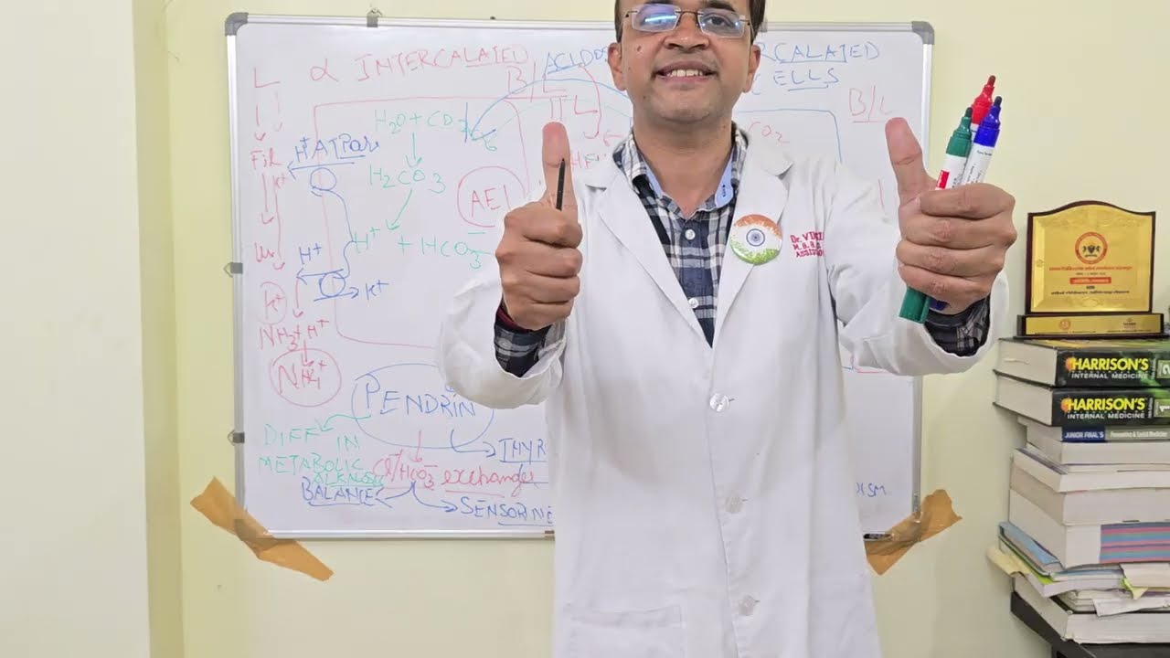 HOW INTERCONVERSION OF ALPHA AND BETA INTERCALATED CELLS OF NEPHRONS  HELPS IN ACID BASE BALANCE
