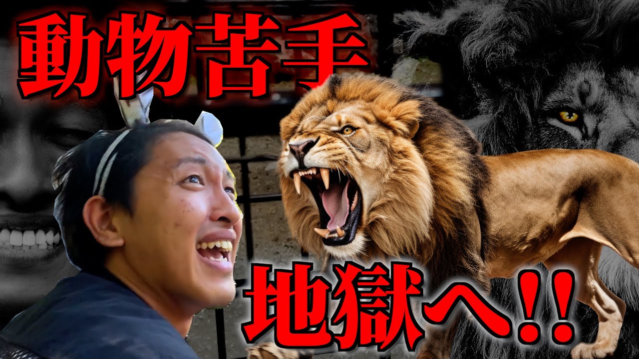 サファリパークで、ライオンさんに片腕を喰わせてみよう！！