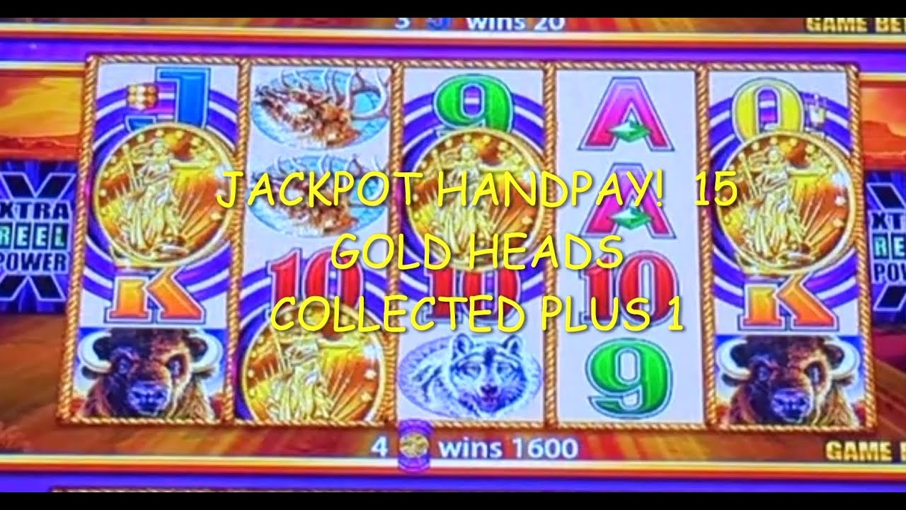 WONDER 4 TALL FORTUNES (JACKPOT/ HANDPAY) BUFFALO GOLD!