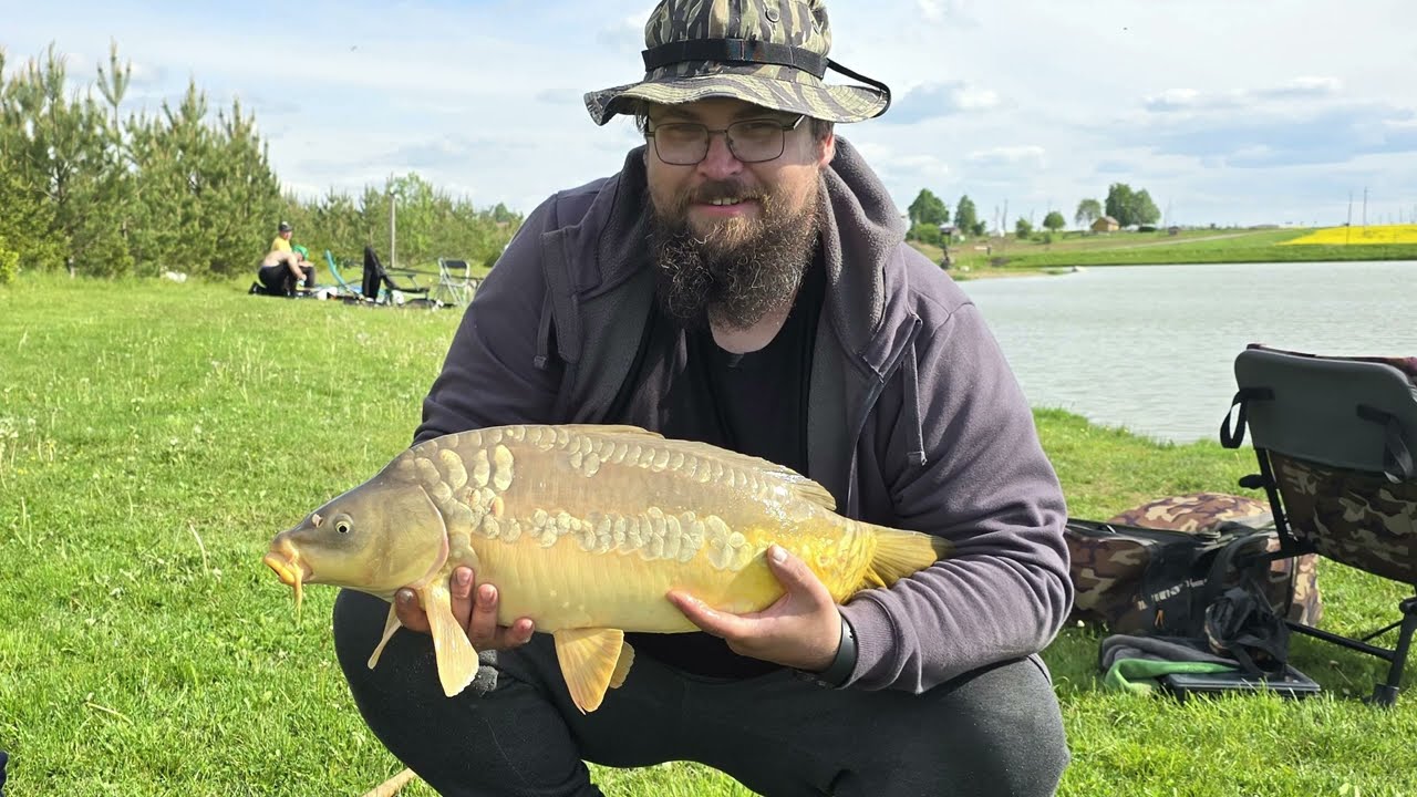 Karpiai saulėtą dieną