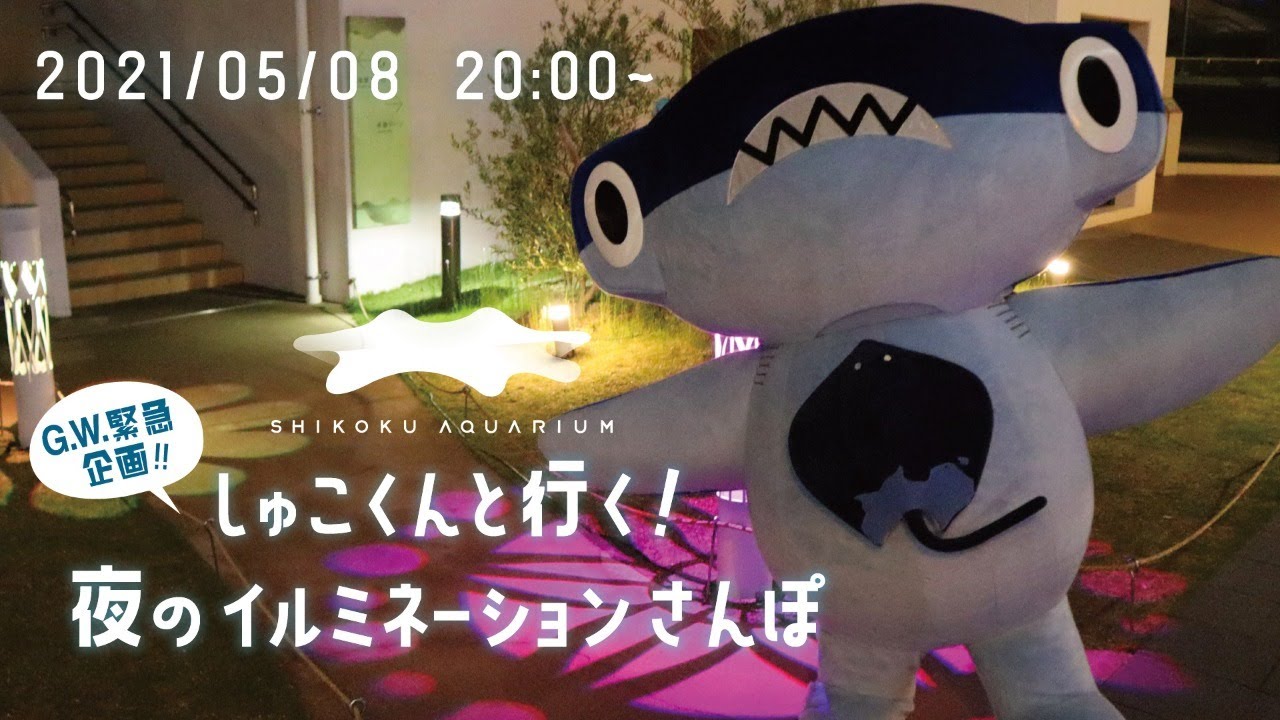【四国水族館】G.W.緊急企画！しゅこくんと行く夜のイルミネーションさんぽ