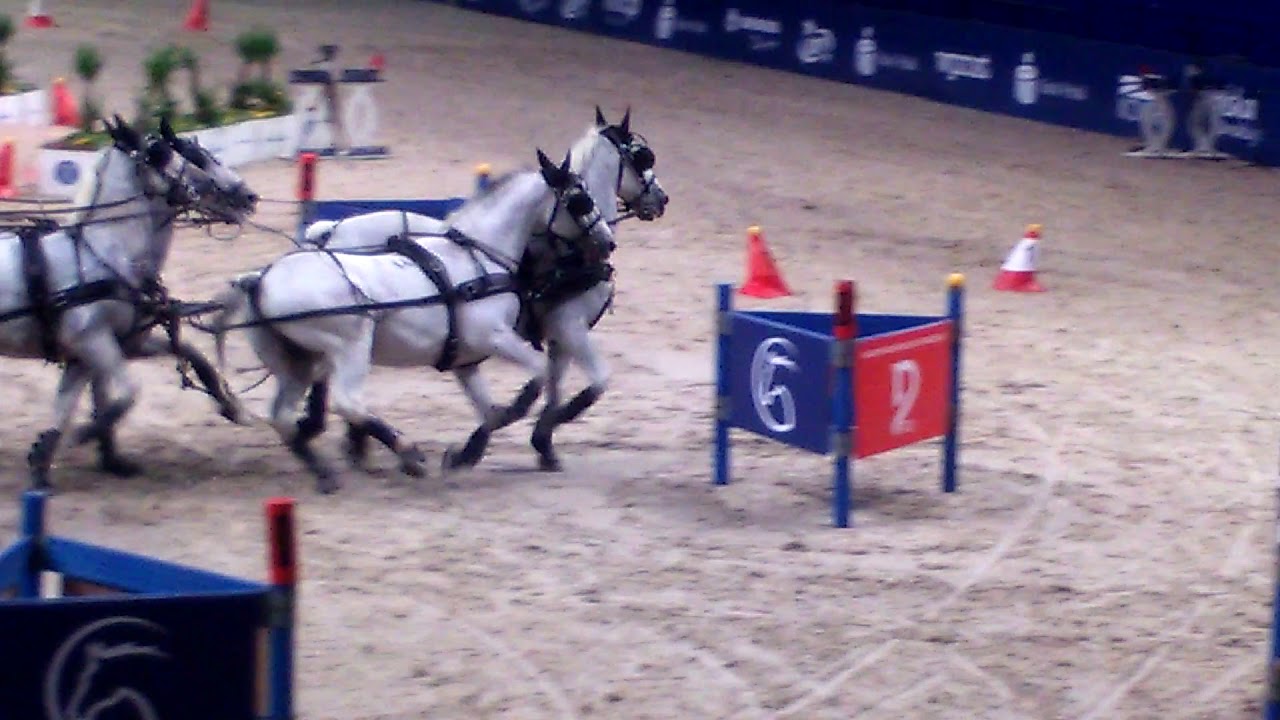 Cavaliada Warszawa 2019 zaprzęgi cz 2 Ireneusz Kozłowski