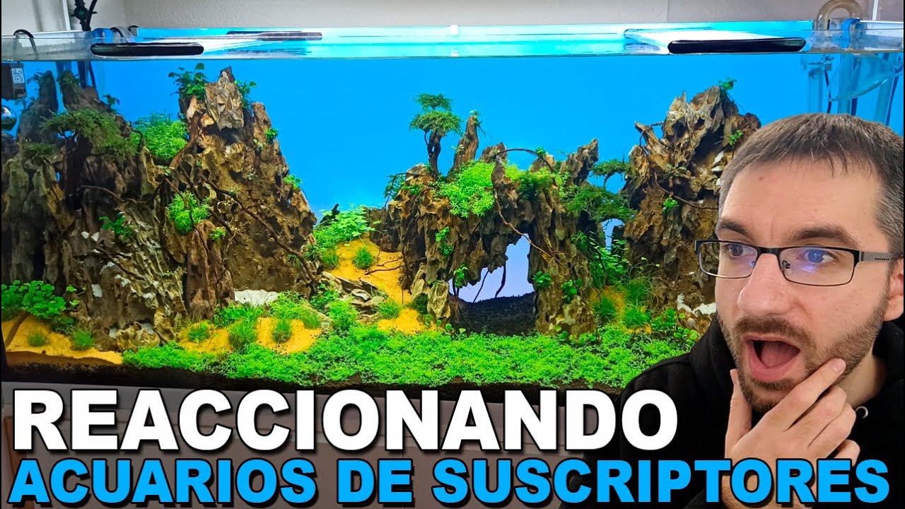 😲Cap Nº18: Así se Hace un Acuario con Cascadas de Arena  🐠🌱