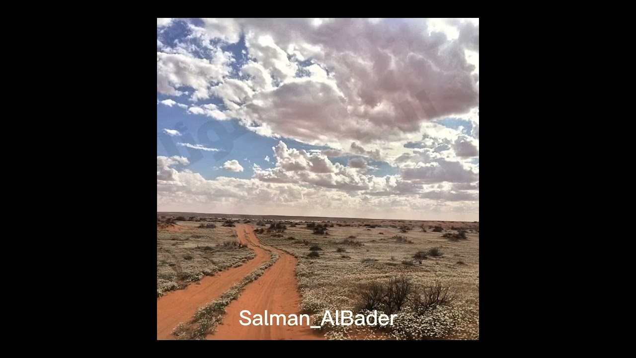 يابدر عين لايهيدن عيوني / جزاء صالح الحربي وقصيده موجهه لبدر الحويفي