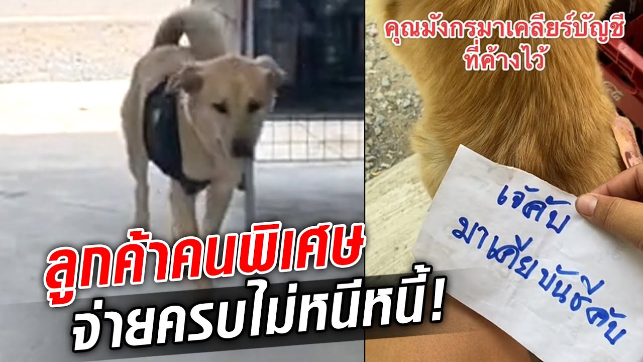 ‘คุณมังกร’ ลูกค้าประจำ สะพายเป้ ซื้อเองกินเอง พร้อมเคลียร์ ไม่หนีหนี้! : Khaosod TV