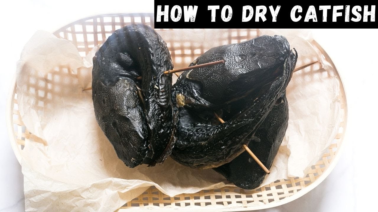 How To Dry Catfish At Home For Storage