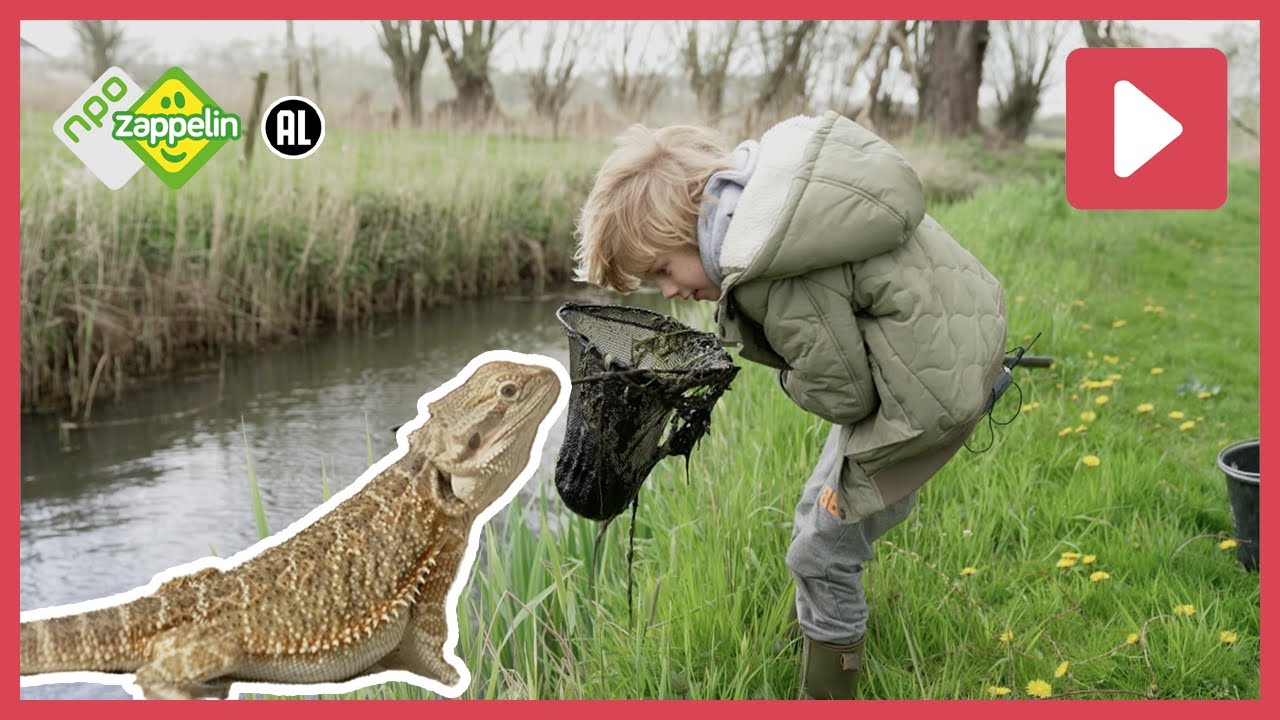 OP ZOEK NAAR NIEUWE HUISDIEREN! 🪲🪱 | Beestenbrigade Missie | NPO Zappelin