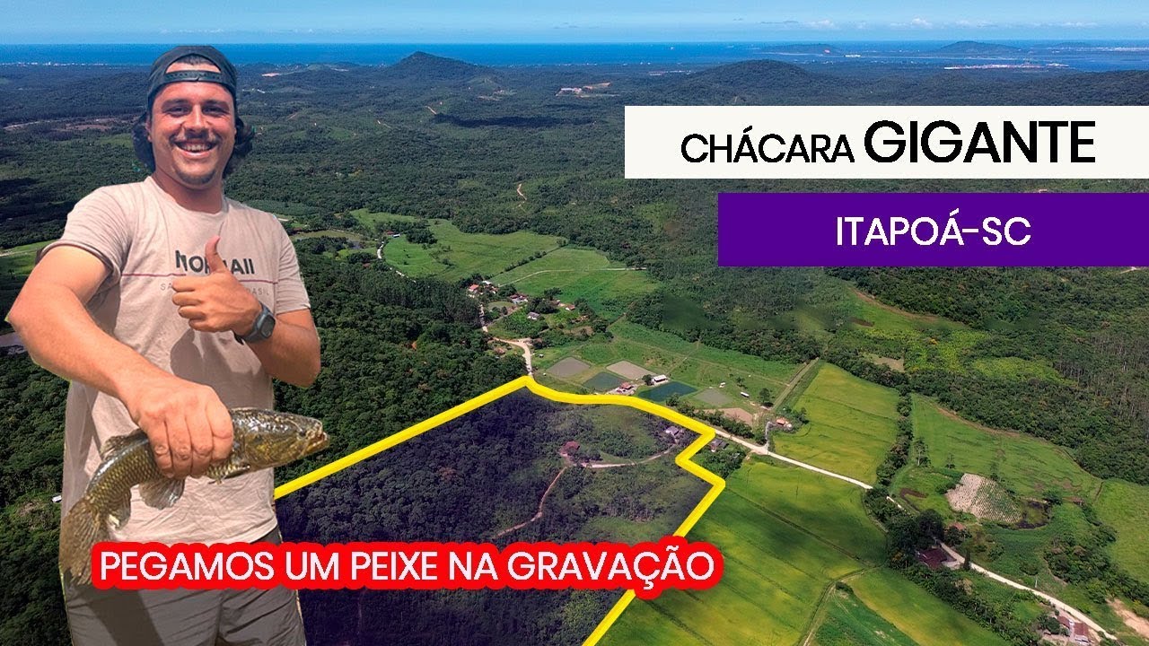 CHÁCARA INCRÍVEL À VENDA 124 MIL M² - ITAPOÁ-SC