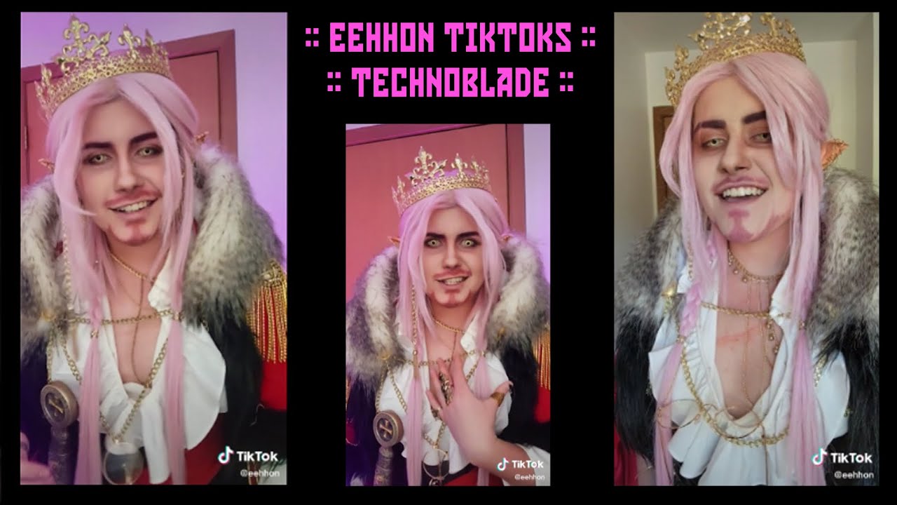 DSMP Technoblade cosplay compilation