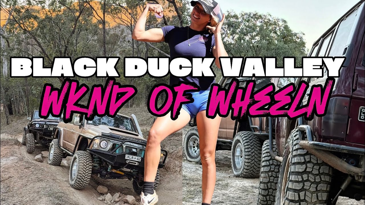 Wagons go wheeling
