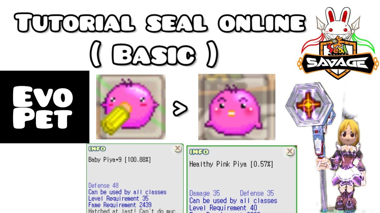 EVO PET | TUTORIAL BASIC SEAL ONLINE | SEAL SAVAGE