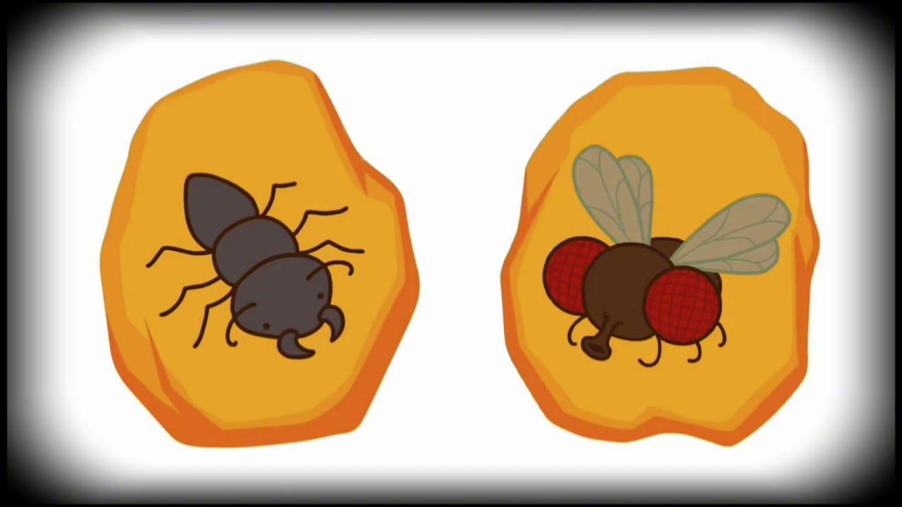 Todas as Maneiras de Você Ser Fossilizado
