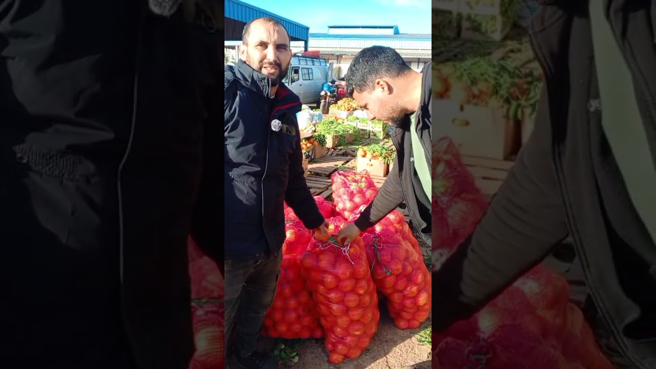 ارتفاع  الثمن البصل اليوم 10 دراهم بالجملة 16/02/2026/من سوق الجملة للخضر و الفواكه بالناظور