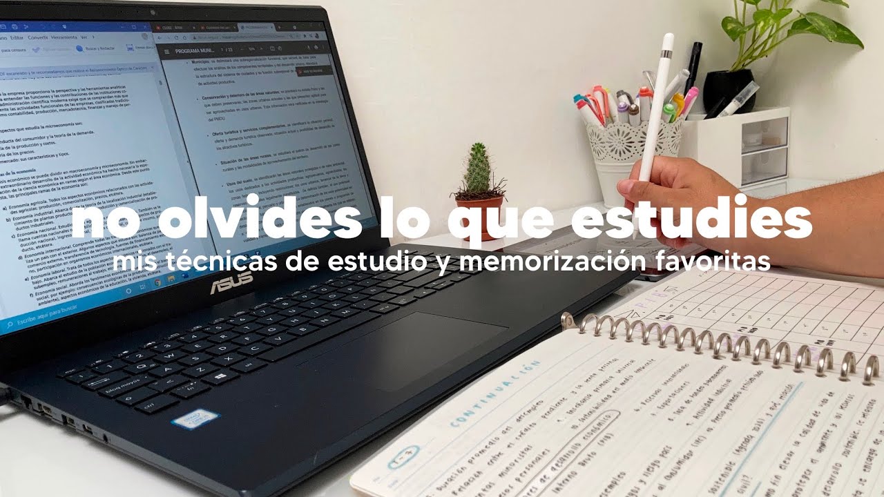 Estudia sin olvidar: mis técnicas favoritas de estudio y memorización / métodos que debes conocer