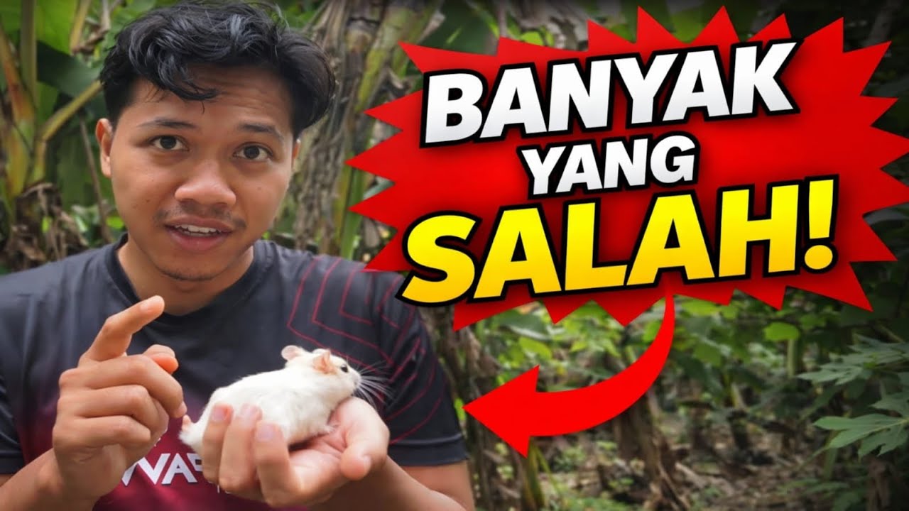 🔥 Cara Merawat Hamster yang Benar | Pengalaman Pribadi & Kesalahan Umum