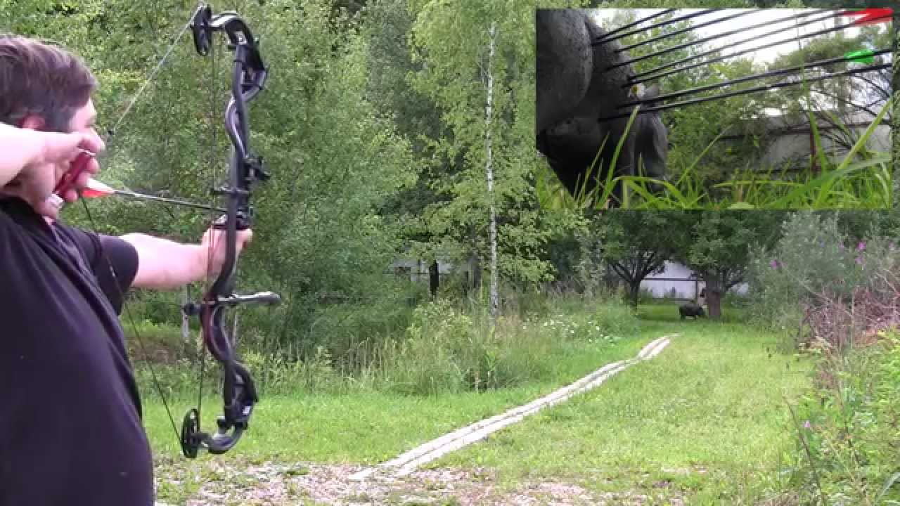 Проникающая особенность стрел разного веса