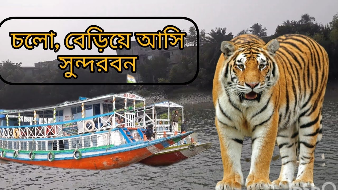 Sundarban Tour। শীতকালে সুন্দরবন ভ্রমণ।best budget tour #vlog #travelvlog #sundarban#tourism 