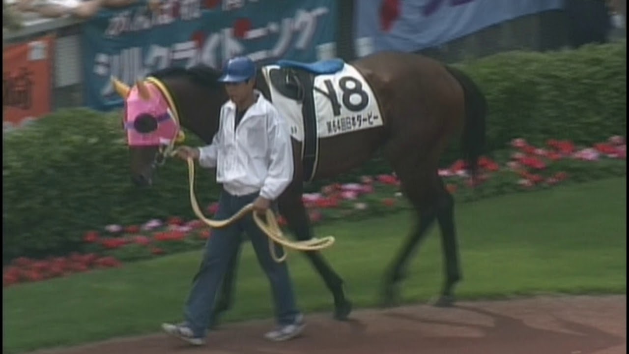 20世紀の名馬　28位　サニーブライアン