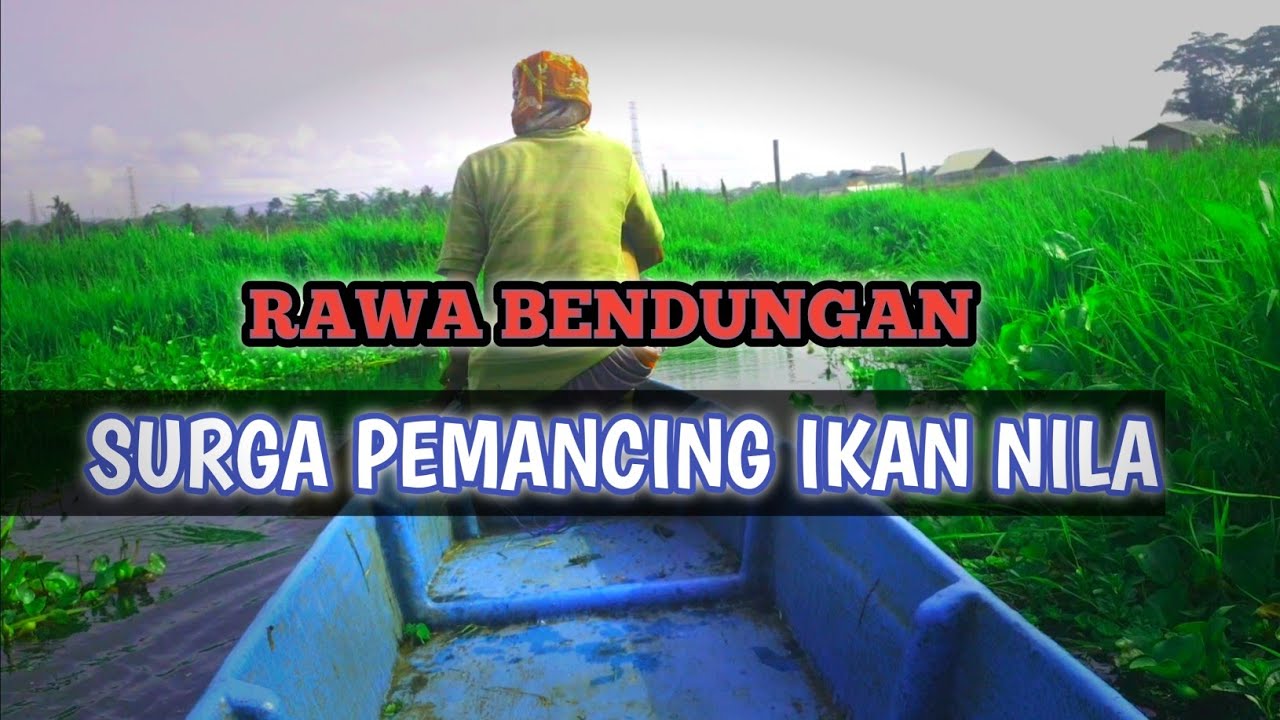 RAWA BENDUNGAN SURGANYA PEMANCING IKAN NILA - lapak mancing