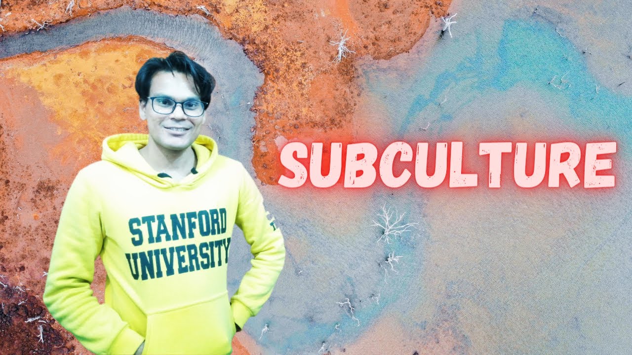 Subculture | Culture | Sociology Lectures | Lectures by Waqas Aziz | Waqas Aziz