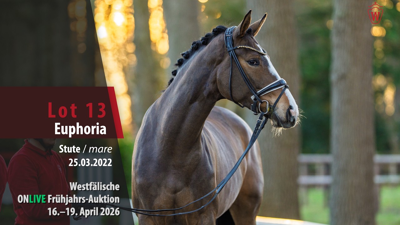 ONLIVE Frühjahrs-Auktion Lot 13 Euphoria Stute v. Escolar - Desperados