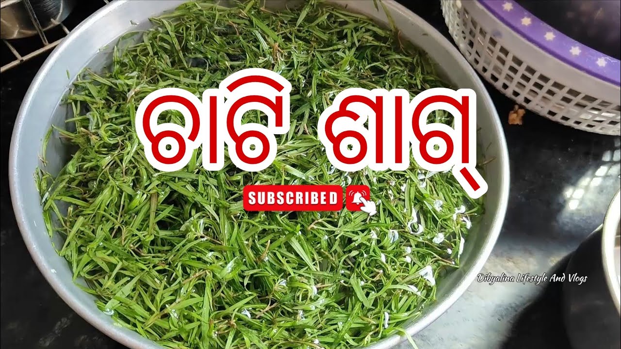 ଚାଟିଁ ଶାଗ କିଏ କିଏ ଖାଇଛ ||Chati Saag Recipe||Sambalpuri Khana ||