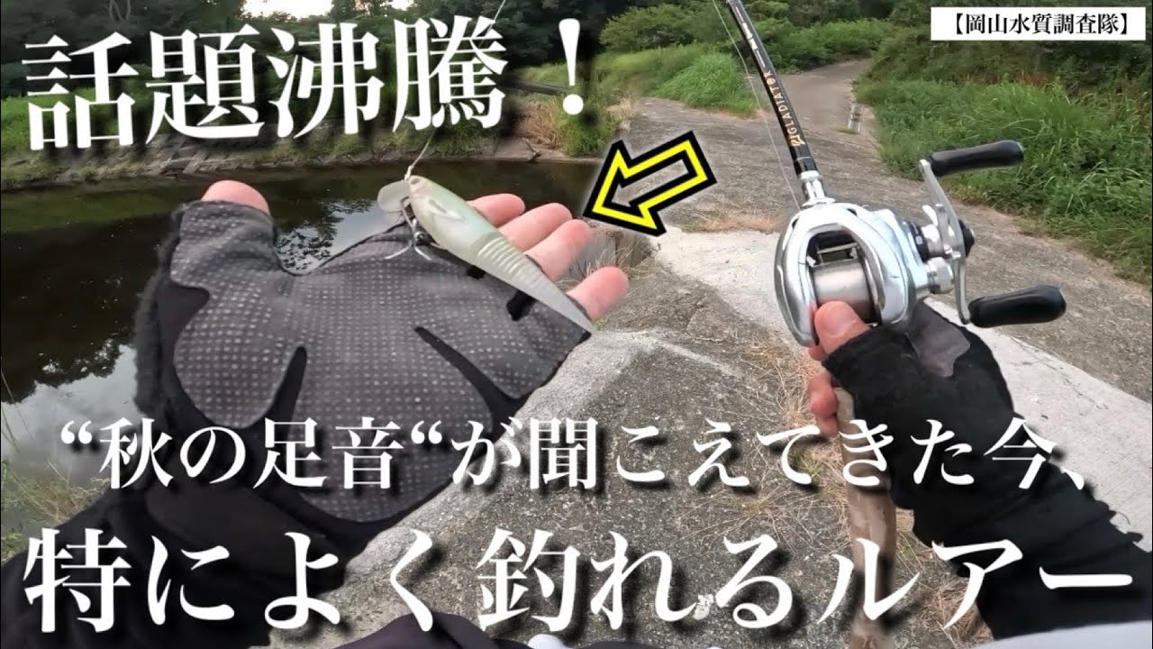 【バス釣り】噂は本当だった。秋めいてきた季節感におすすめのルアーで調査するとめちゃくちゃ釣れてしまいました。Madotachiマドタチ　ソフトハニタス　使い方　エラストマー