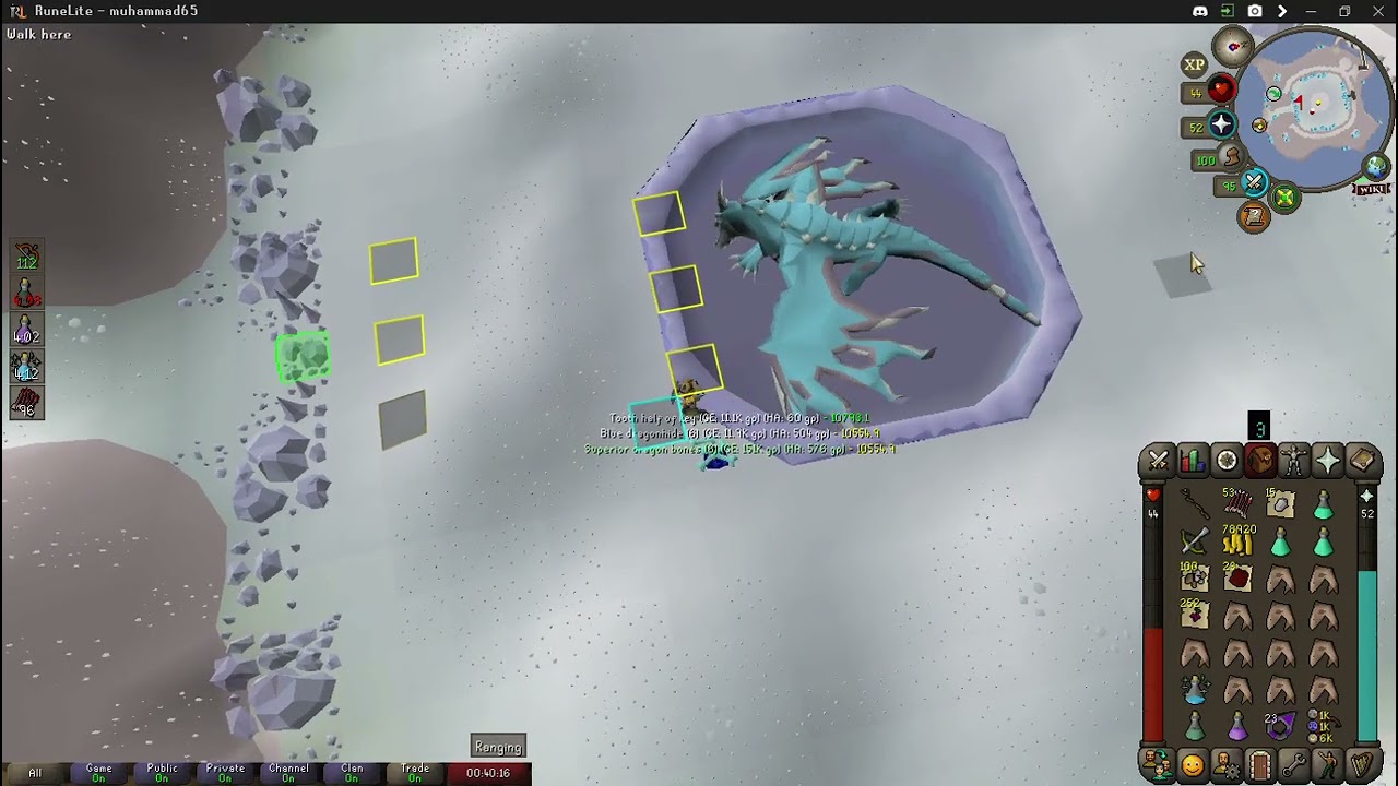 7 kill vorkath trip with zaryte Crossbow and dhcb