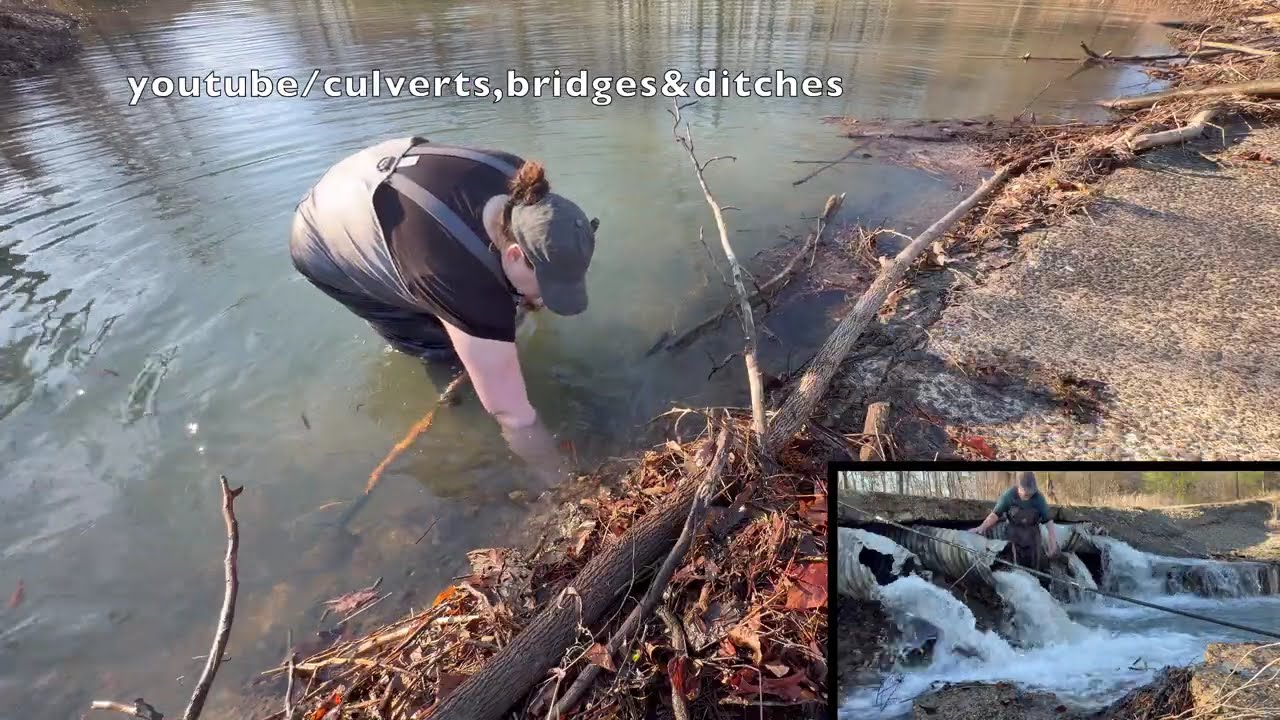 UNCLOGGING BEAVER CLOGGED CULVERTS! 02/2026