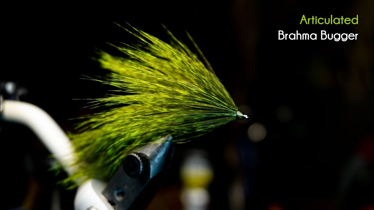 Articulated Brahma, Better than a Wooly Bugger! - McFly Angler Streamer Fly Tying Tutorials