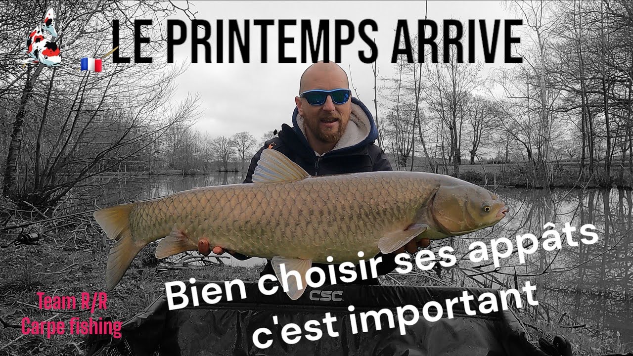 pêche à la carpe - Carpfishing - le printemps arrive #lesmixbressan #carpe