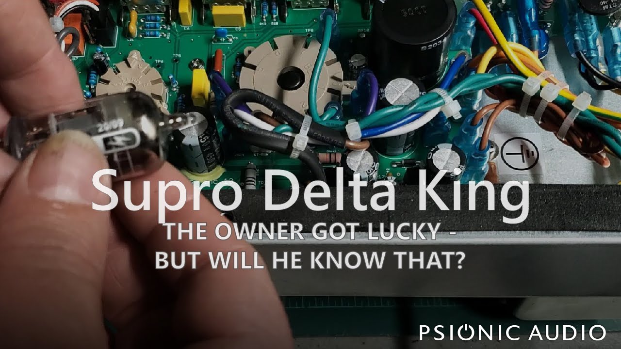 Supro Delta King | The Owner Got Lucky - Will He Know That?
