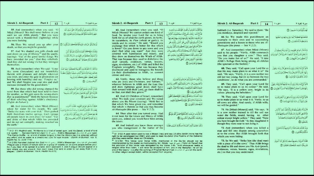 Muhammad Salah Nafea - Surah  Al - Baqarah Verses 1-123 (2)