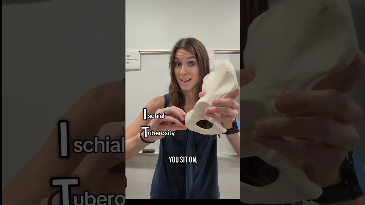 Правая или левая тазовая кость? #анатомия #анатомияифизиология #наука #ствол #тестпоанатомии