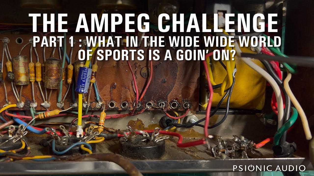 The Ampeg Challenge | Part 1 : What in the Wide Wide World of Sports Is a Goin' On?