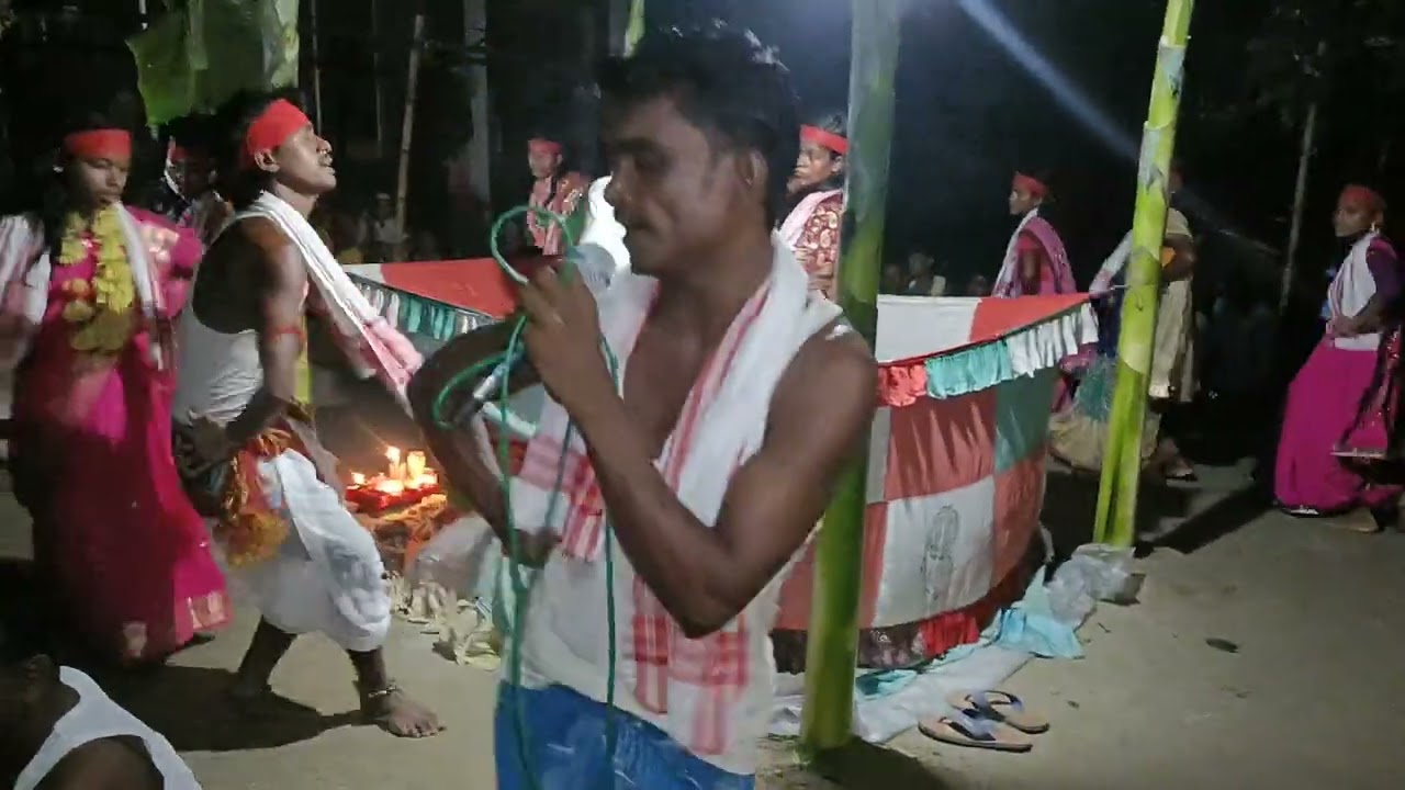 #বেইলা #নাছ