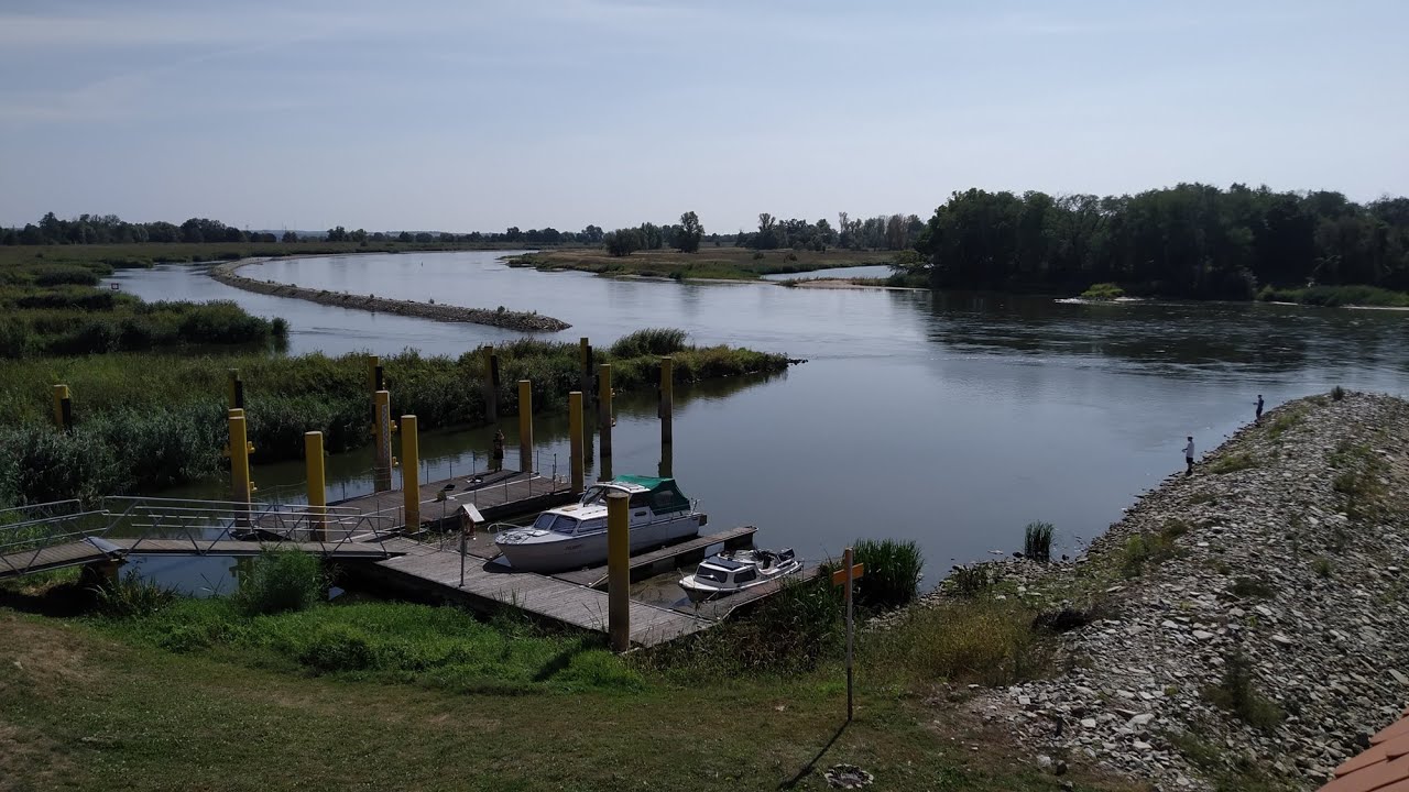 Havelfloh#7