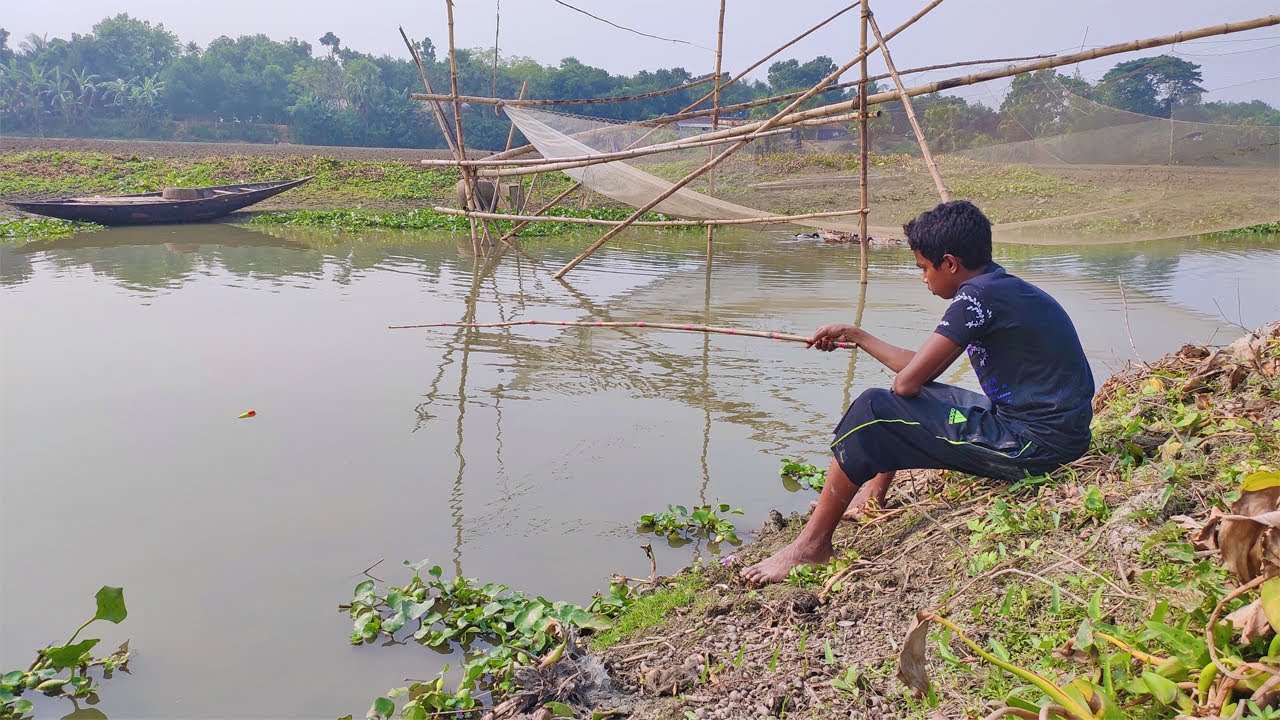 Hunting Catfish by Hook in Village | Fishing Videos