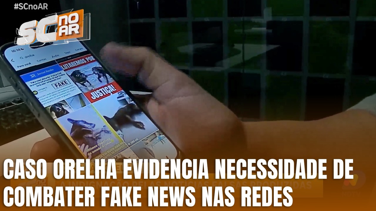 Caso do cão Orelha evidencia impacto das notícias falsas nas redes